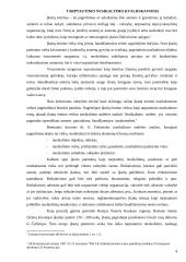 Įkaitų ėmimo veika kaip tarptautinio pobūdžio nusikaltimas 4 puslapis