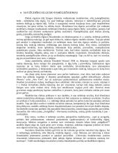 Savižudybės Lietuvoje 17 puslapis