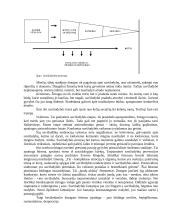 Savižudybės Lietuvoje 19 puslapis