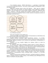 Savižudybės Lietuvoje 20 puslapis