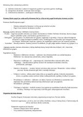 Sisteminis požiūris ir organizacija 3 puslapis