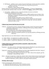 Sisteminis požiūris ir organizacija 5 puslapis