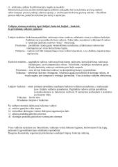 Sisteminis požiūris ir organizacija 6 puslapis