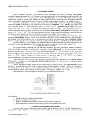 Skaitmeninio perdavimo sistemos 2 puslapis