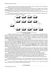 Skaitmeninio perdavimo sistemos 11 puslapis