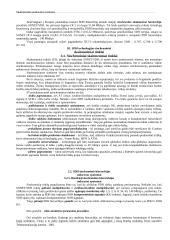 Skaitmeninio perdavimo sistemos 13 puslapis