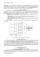 Skaitmeninio perdavimo sistemos 5 puslapis