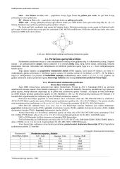 Skaitmeninio perdavimo sistemos 10 puslapis