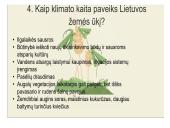 Klimato kaita skaidrės 11 puslapis