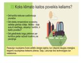 Klimato kaita skaidrės 12 puslapis