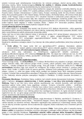 Smulkus ir vidutinis verslas - paskaitų medžiaga egzaminui 4 puslapis