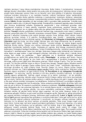 Socialinės filosofijos esmė 4 puslapis