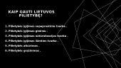 Lietuvos Respublikos pilietybė 2 puslapis
