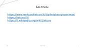 Lietuvos Respublikos pilietybė 10 puslapis