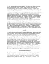 Socialinė metodika ir metodologija 5 puslapis