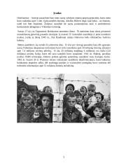 Holokausto vaikai - Anna Frank 2 puslapis