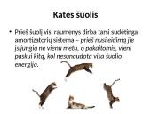 Fizika ir katė 10 puslapis