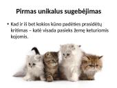 Fizika ir katė 12 puslapis