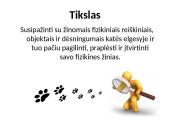 Fizika ir katė 2 puslapis