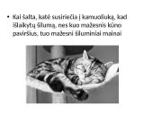 Fizika ir katė 20 puslapis