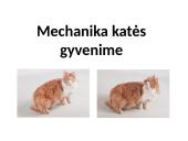 Fizika ir katė 4 puslapis