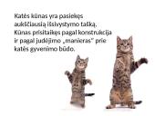 Fizika ir katė 5 puslapis