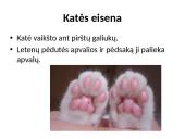 Fizika ir katė 6 puslapis