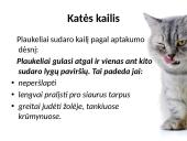 Fizika ir katė 9 puslapis