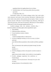 Socialinė pedagoginė pagalba šeimai 11 puslapis