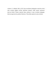 Socialinė pedagoginė pagalba šeimai 13 puslapis