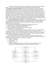 Socialinio pedagogo darbas su problematine šeima 2 puslapis