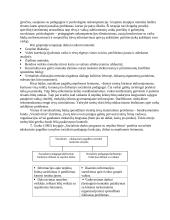 Socialinio pedagogo darbas su problematine šeima 13 puslapis