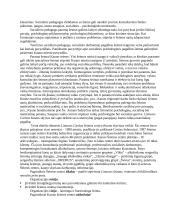 Socialinio pedagogo darbas su problematine šeima 7 puslapis