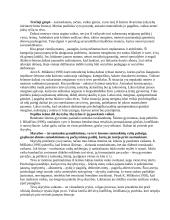 Socialinio pedagogo darbas su problematine šeima 10 puslapis