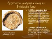 Švitrigaila ir Žygimantas 10 puslapis