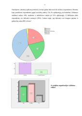 Kirpyklos verslo įdėja 4 puslapis