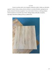 Kambario interjero detalė - sieninis laikrodis 19 puslapis