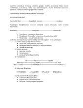 Sociokultūrinis bendruomenės ugdymas 11 puslapis