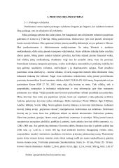 UAB „Jurmira“ verslo planas 11 puslapis