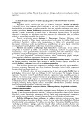 Sociologijos egzamino klausimai 6 puslapis