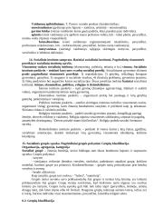 Sociologijos egzamino klausimai 7 puslapis