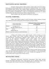 Betonavimo darbų technologinė kortelė 12 puslapis