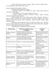 Betonavimo darbų technologinė kortelė 14 puslapis