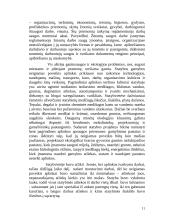 Gamybinės statybos praktikos ataskaita 10 puslapis