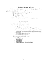 Dažymo praktikos ataskaita 2 puslapis