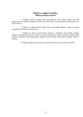 Dažymo praktikos ataskaita 11 puslapis