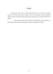 Dažymo praktikos ataskaita 13 puslapis