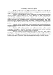 Dažymo praktikos ataskaita 3 puslapis