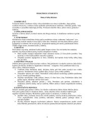 Dažymo praktikos ataskaita 4 puslapis