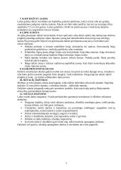 Dažymo praktikos ataskaita 5 puslapis